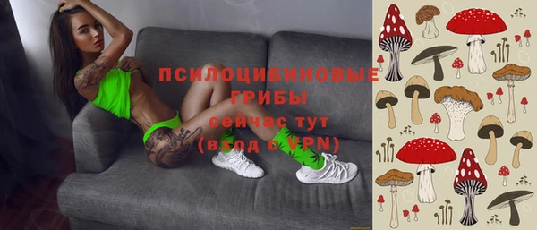 тгк Алексеевка